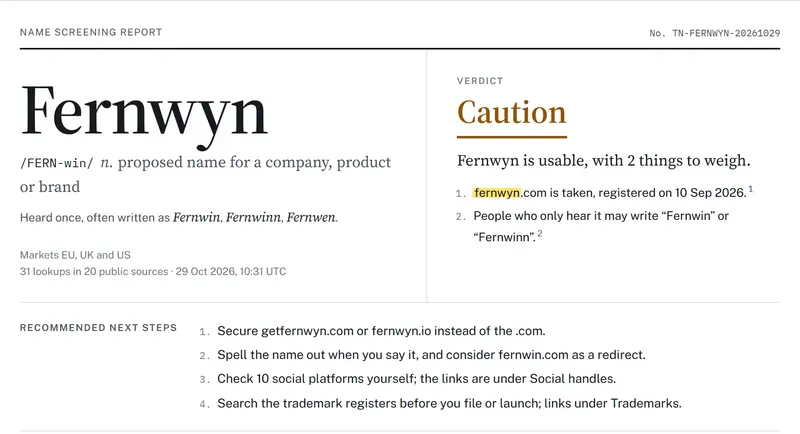 A testname report for the name Fernwyn: verdict Caution, with two things to weigh and four recommended next steps